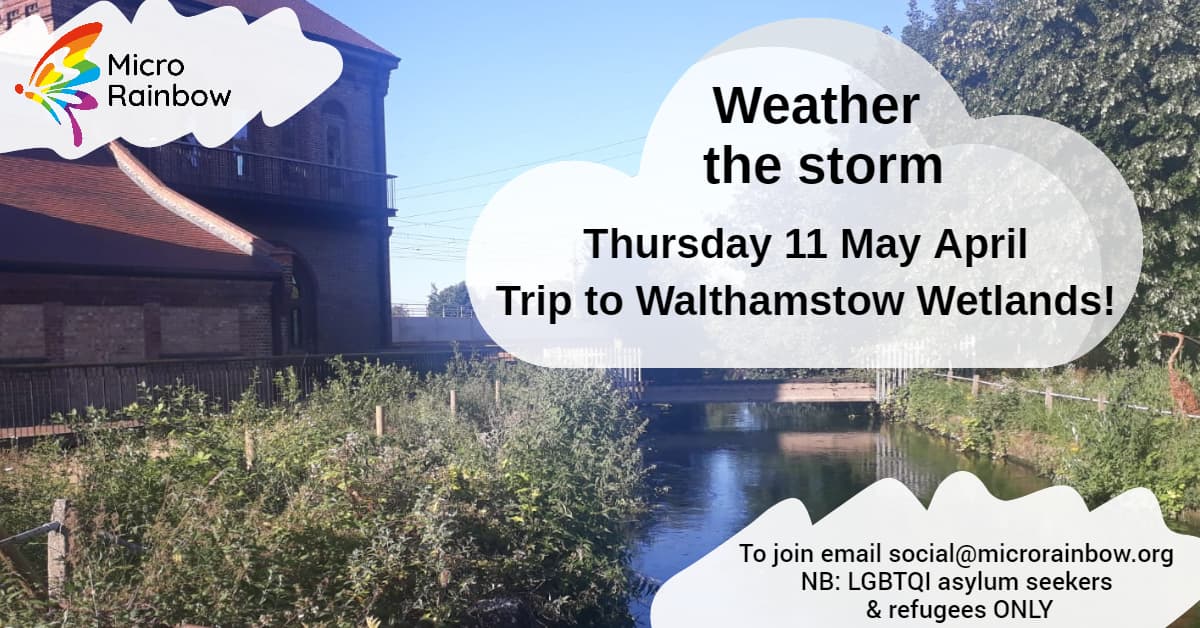 Weather the Storm. Thursday 11 May. Trip to Walthamstow Wetlands!