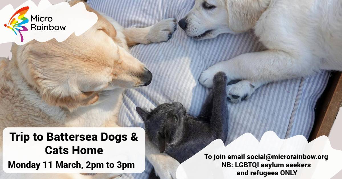 Trip to Battersea Dogs & Cats Home. Monday 11 March , 2-3pm