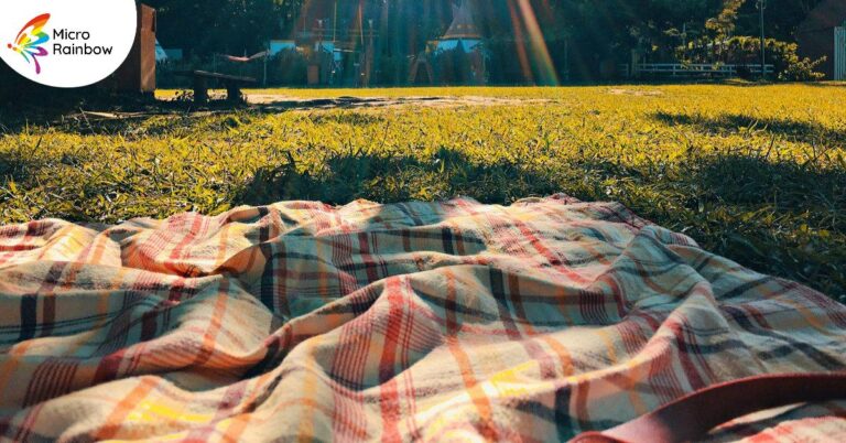 Picnic in the park
