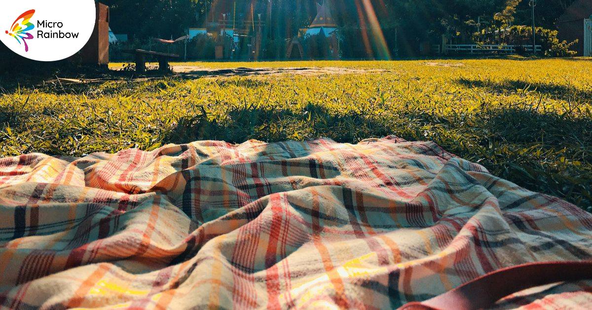 Picnic in the park