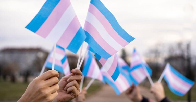 Hands of a group of people waving trans flags in the air.